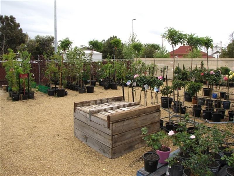 36 Bookpurnong Terrace, Loxton SA 5333