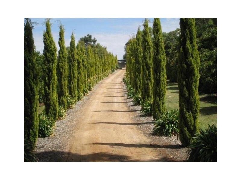 18 Dearman Road, Waikerie SA 5330