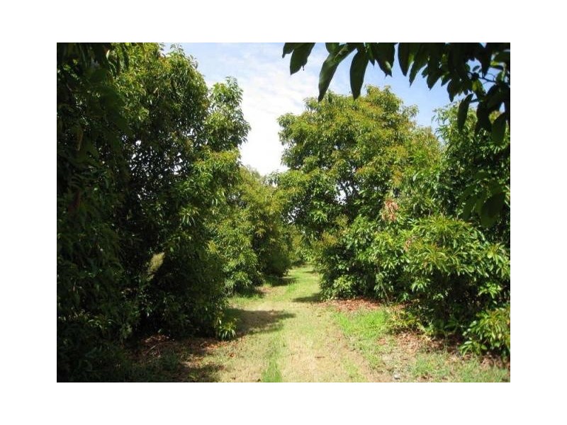 18 Dearman Road, Waikerie SA 5330