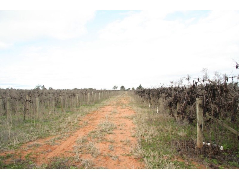 Sec 557 Fairweather Avenue, Loxton SA 5333