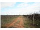 Sec 557 Fairweather Avenue, Loxton SA 5333