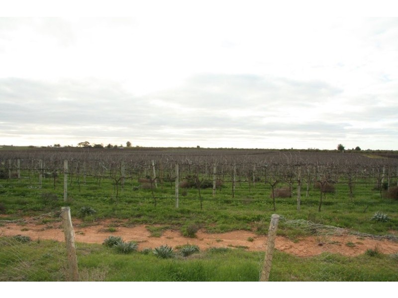 Lot 2 Mackey Road, Loxton SA 5333