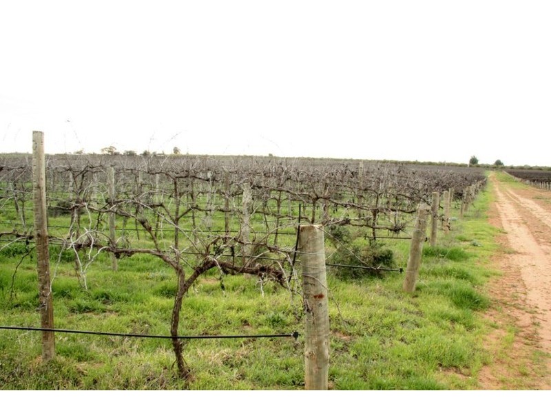 Lot 2 Mackey Road, Loxton SA 5333