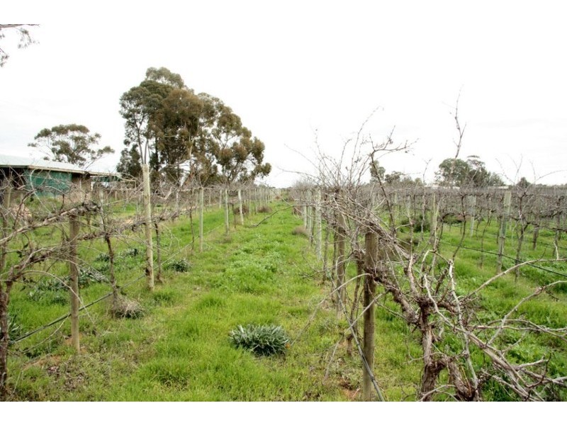 Lot 2 Mackey Road, Loxton SA 5333