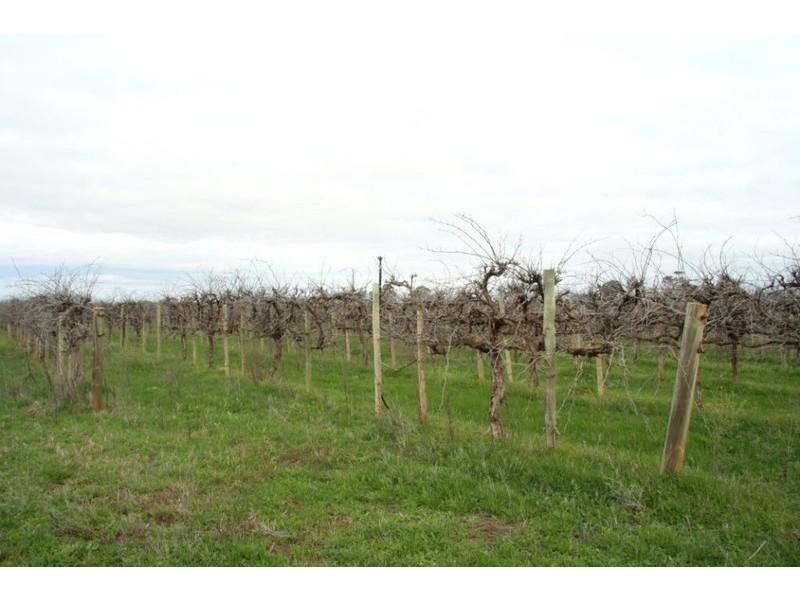 Lot 2 Mackey Road, Loxton SA 5333