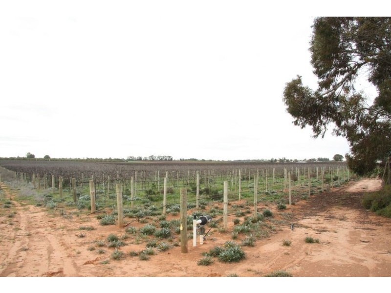Lot 2 Mackey Road, Loxton SA 5333