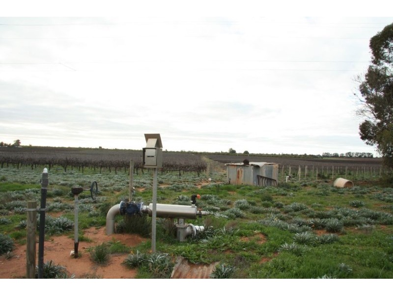 Lot 2 Mackey Road, Loxton SA 5333