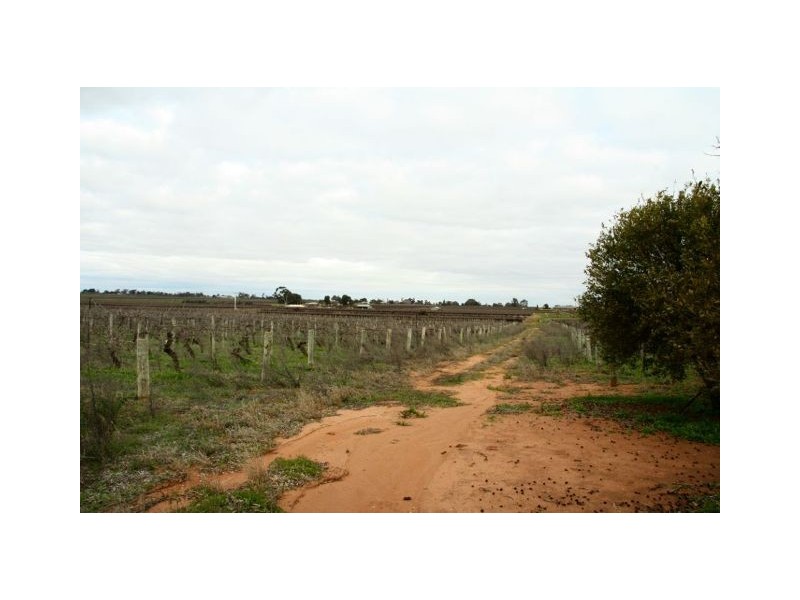 96 Derrick Road, Loxton SA 5333