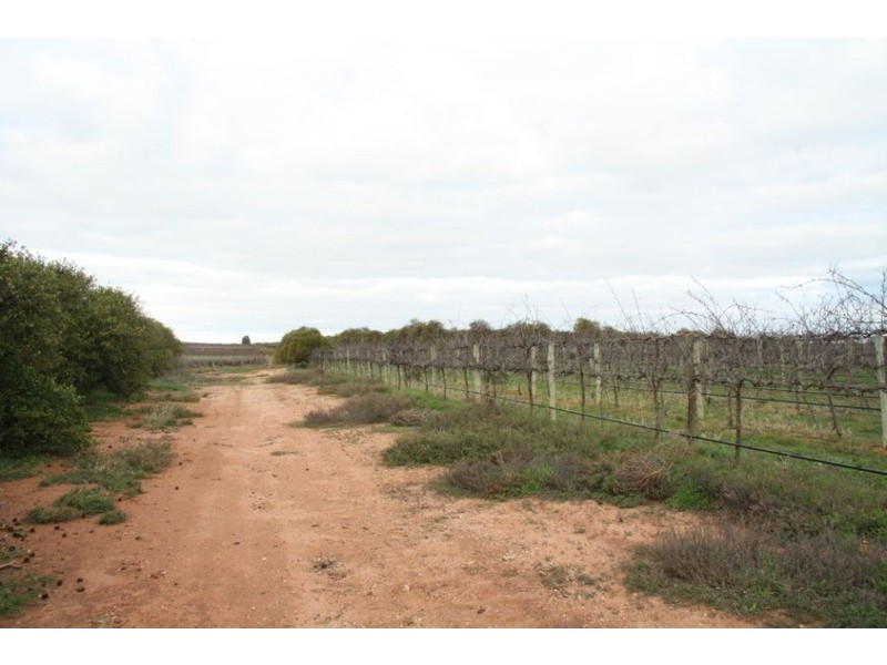 Lot 2 Kingsbury Road, Loxton SA 5333