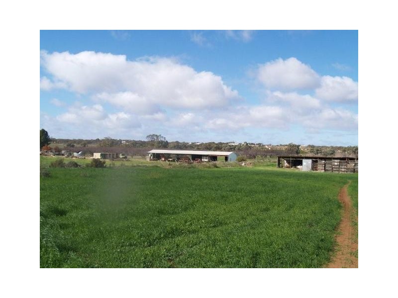 73,74,188 Virgo Road, Cadell SA 5321