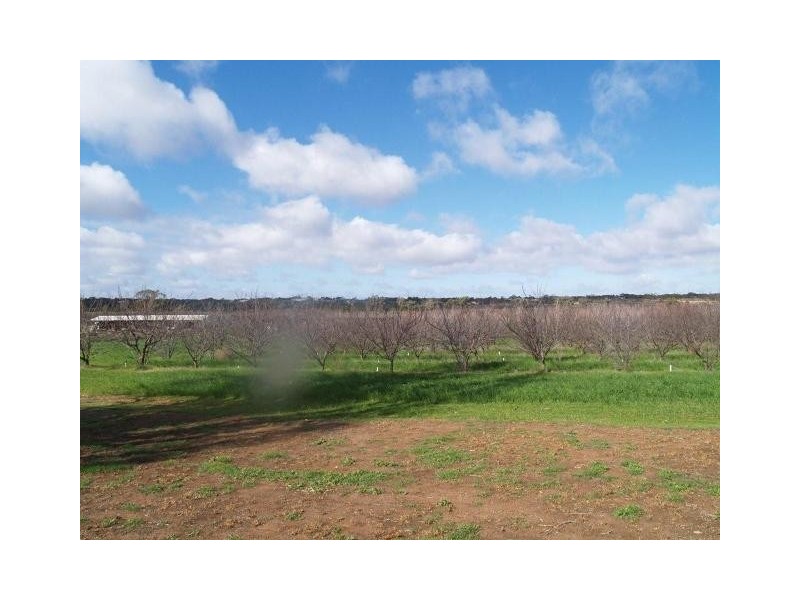 73,74,188 Virgo Road, Cadell SA 5321