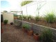 9B Bice Street, Barmera SA 5345