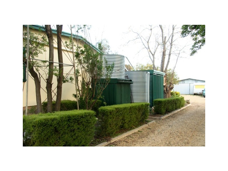 91 Medley Road, Waikerie SA 5330