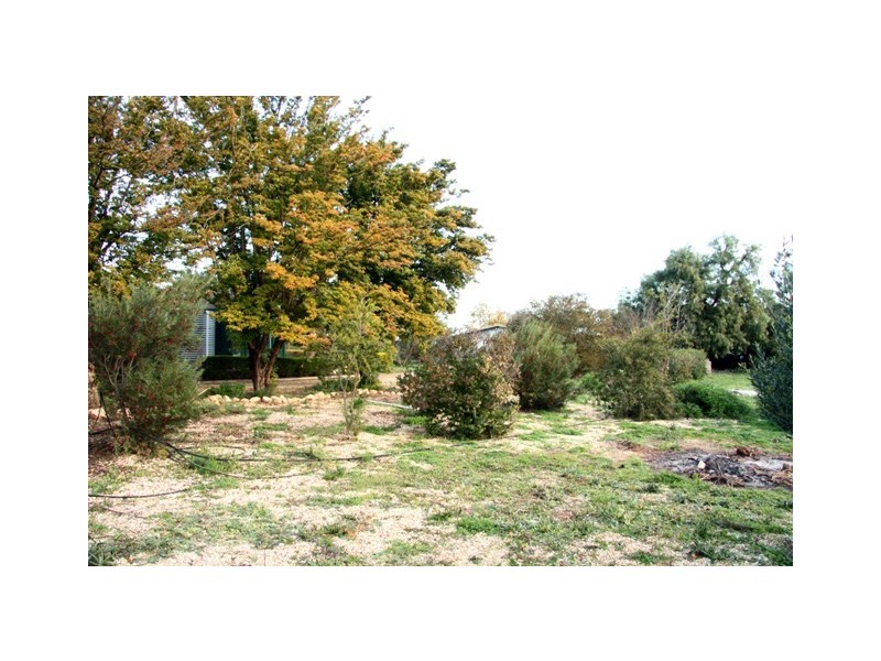 91 Medley Road, Waikerie SA 5330