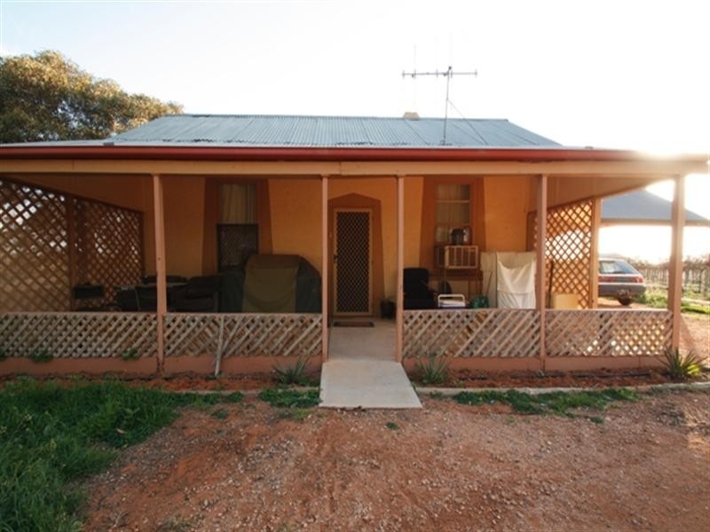 126 Thelma Road, Barmera SA 5345