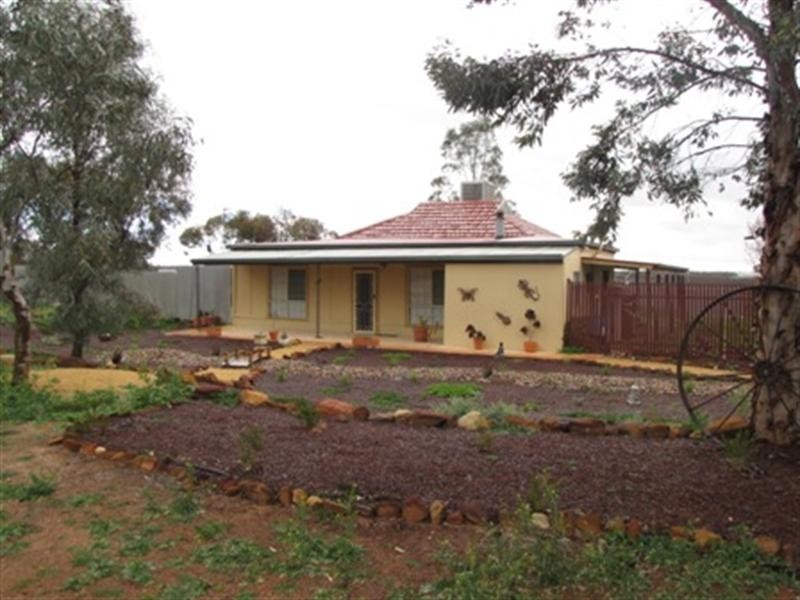 195 Dalziel Road, Winkie SA 5343