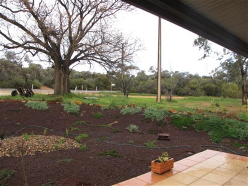 195 Dalziel Road, Winkie SA 5343