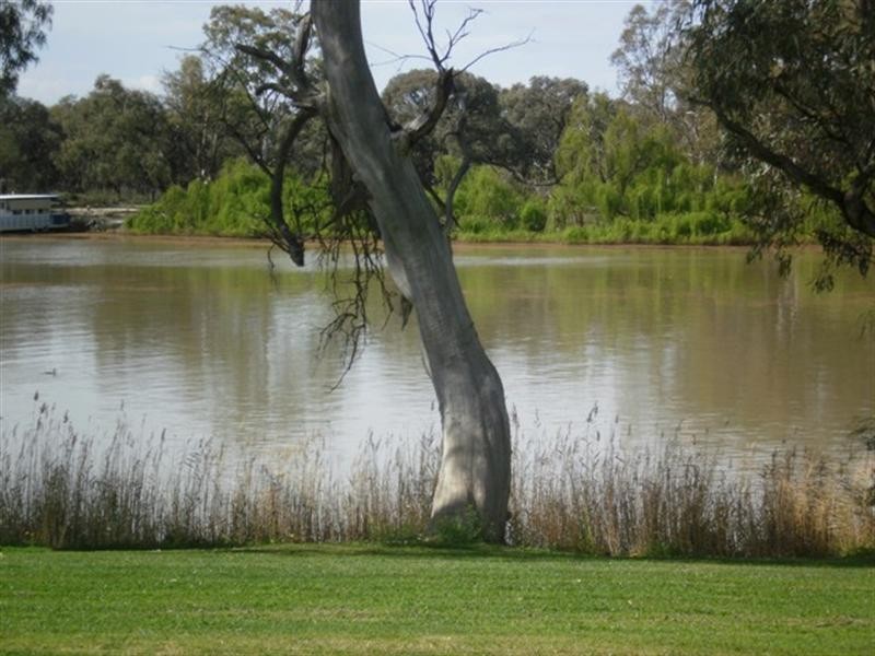 1 Ian Showell, Renmark SA 5341