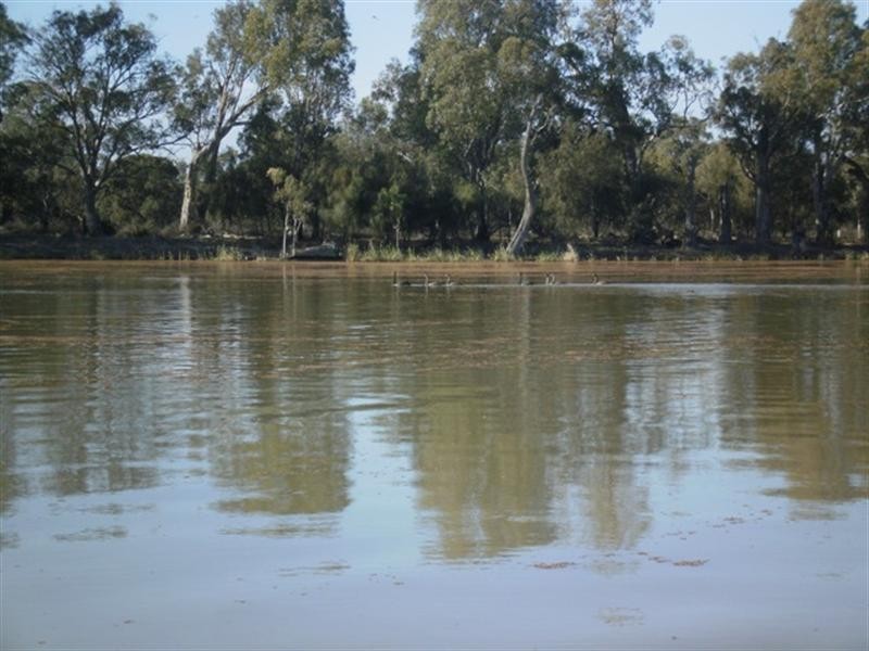 1 Ian Showell, Renmark SA 5341