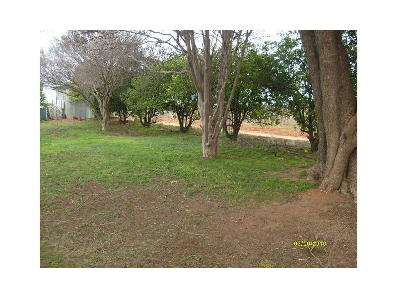 Sec 511 Edmondson Road, Loxton SA 5333