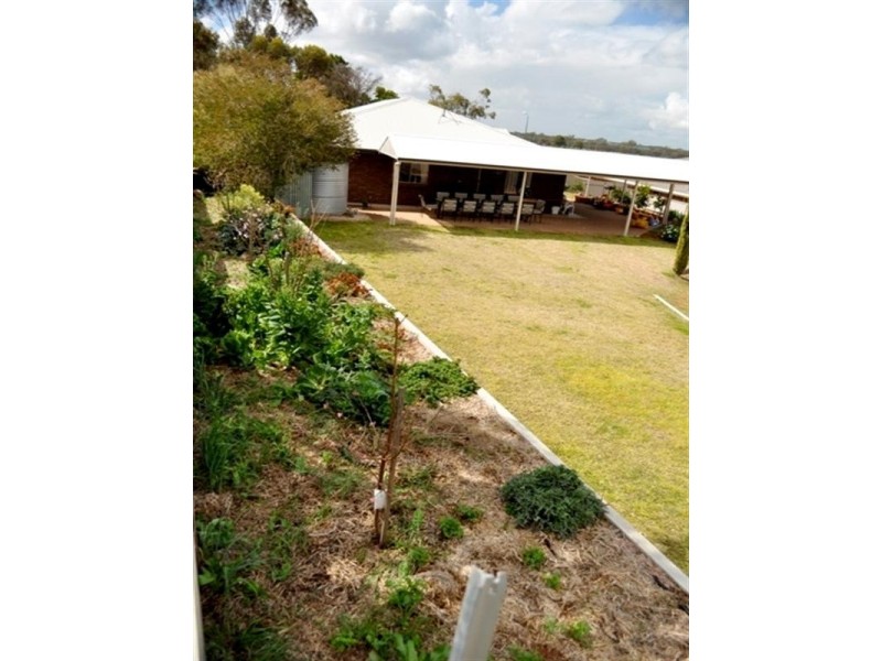 7 Cawse Drive, Berri SA 5343