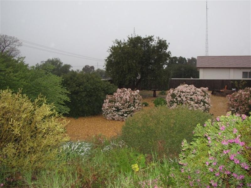 1 Hameister Avenue, Loxton SA 5333