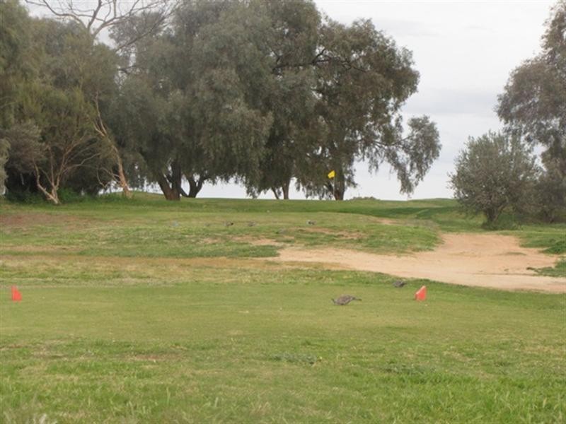 6 Fairway Avenue, Barmera SA 5345