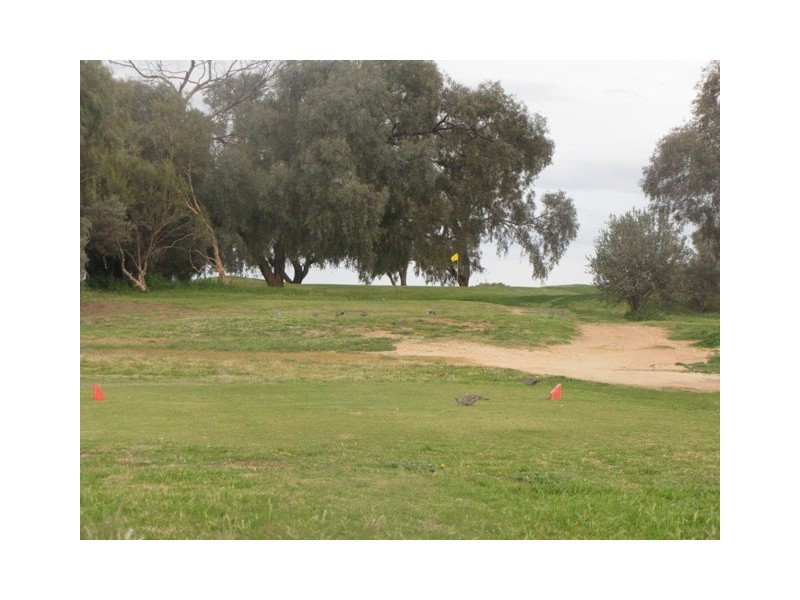 6 Fairway Avenue, Barmera SA 5345