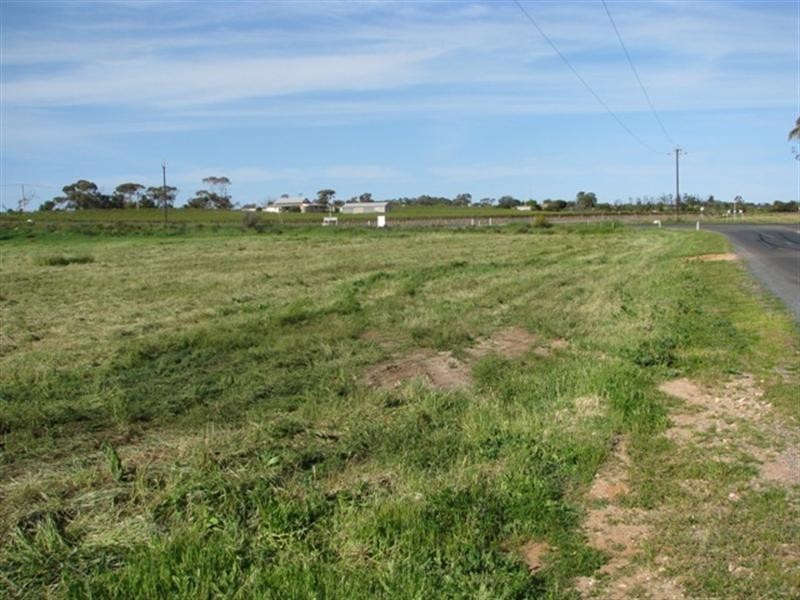 Lot 100 Viney Road, Glossop SA 5344