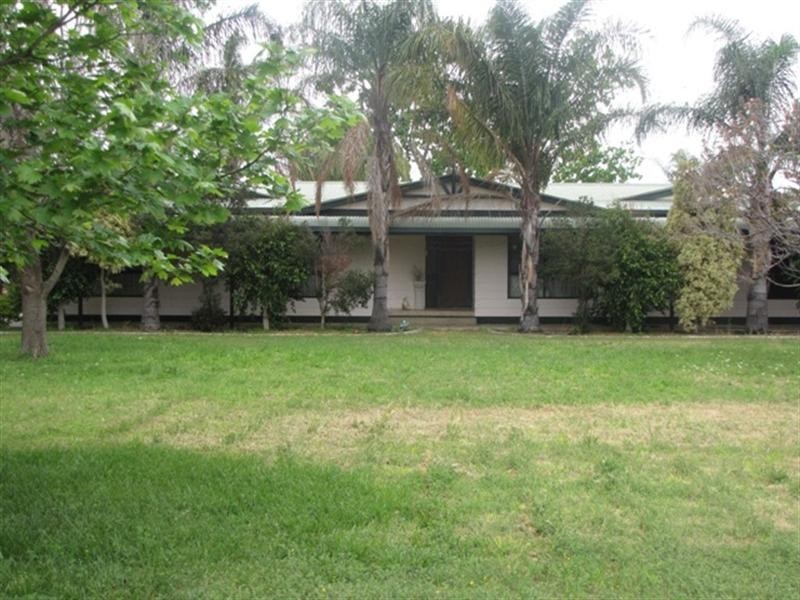 41 Hombsch Road, Barmera SA 5345