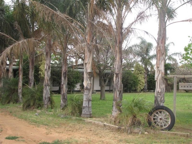 41 Hombsch Road, Barmera SA 5345