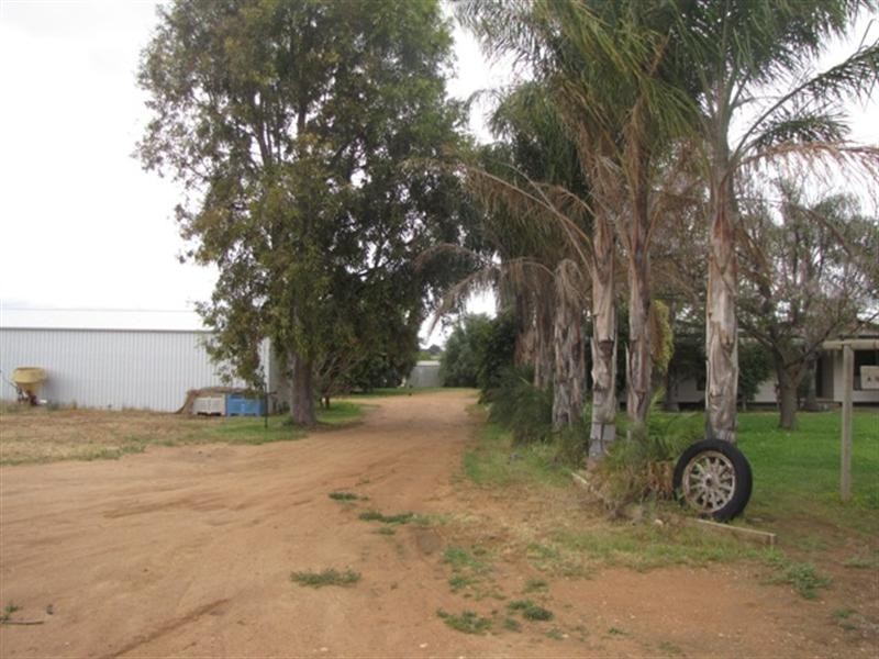 41 Hombsch Road, Barmera SA 5345