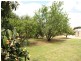 152 Balfour Ogilvy, Loxton SA 5333
