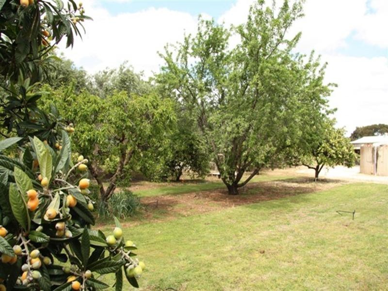 152 Balfour Ogilvy, Loxton SA 5333