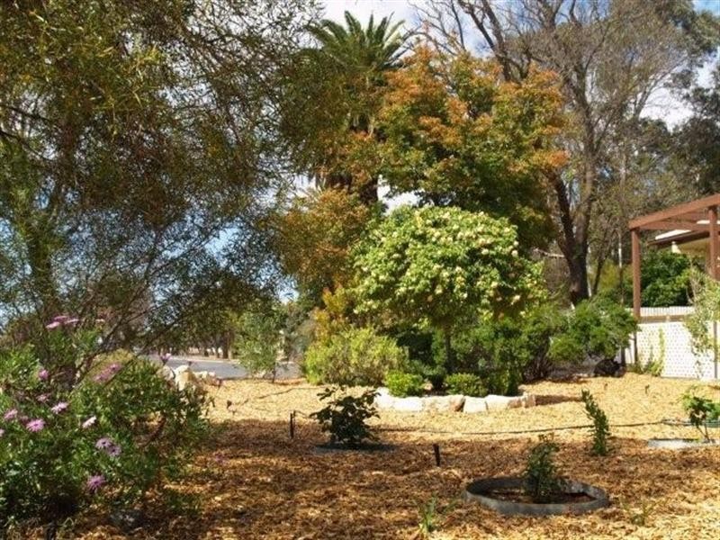 10 Strangman Road, Waikerie SA 5330