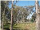 20 First Street, Blanchetown SA 5357