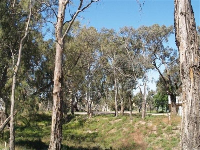 20 First Street, Blanchetown SA 5357