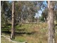 20 First Street, Blanchetown SA 5357