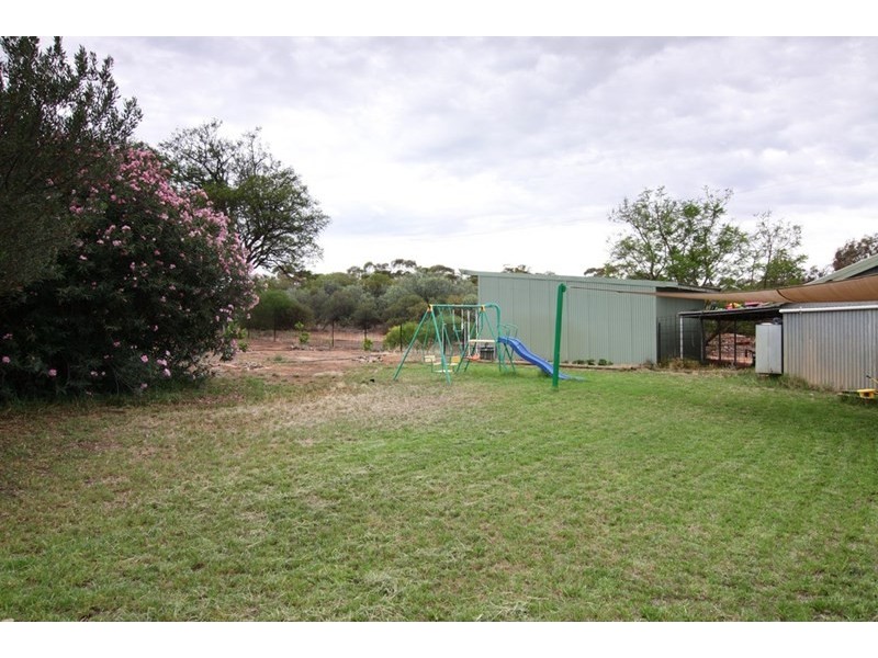 310 Loveday Road, Loveday SA 5345