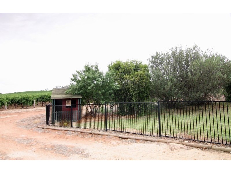 310 Loveday Road, Loveday SA 5345