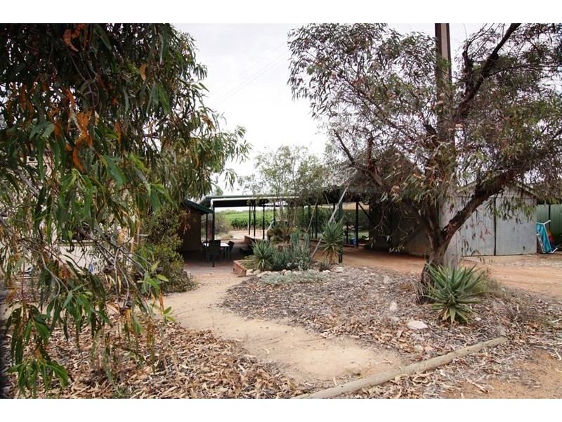 310 Loveday Road, Loveday SA 5345