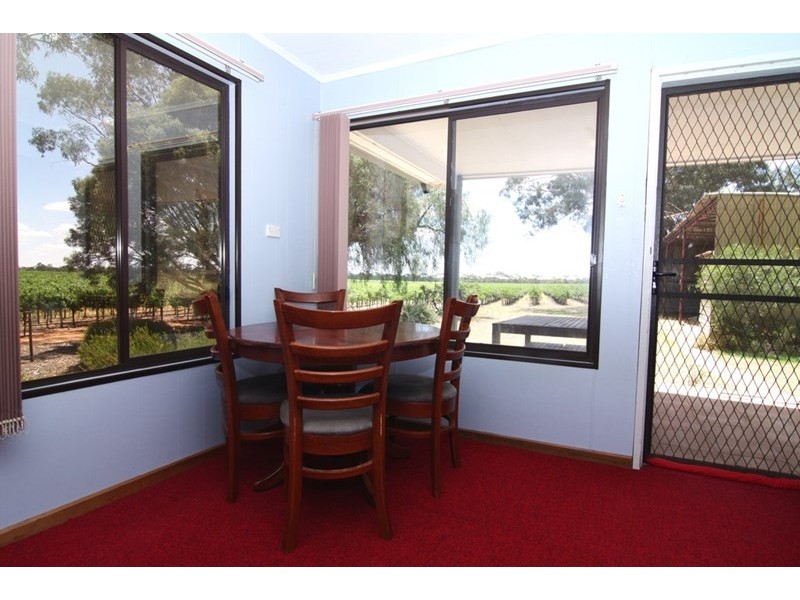 323 Costello Road, Loveday SA 5345