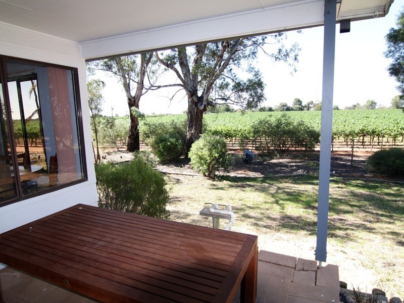 323 Costello Road, Loveday SA 5345