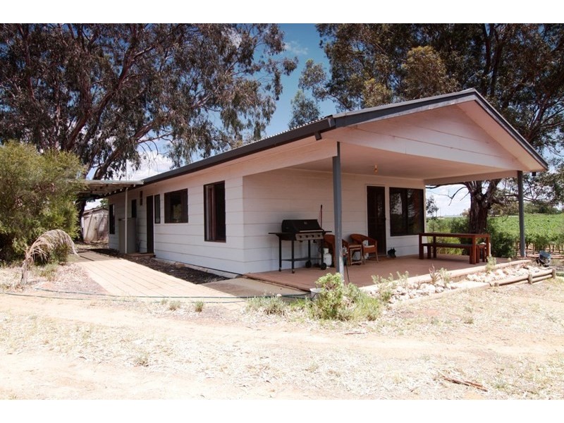 323 Costello Road, Loveday SA 5345