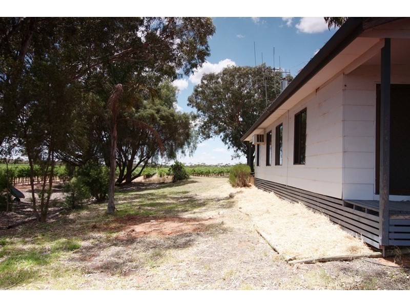 323 Costello Road, Loveday SA 5345