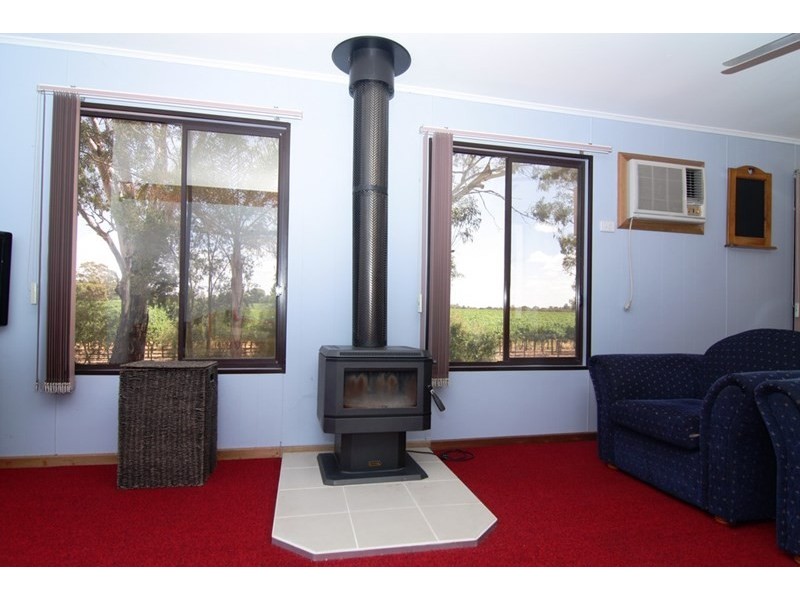323 Costello Road, Loveday SA 5345