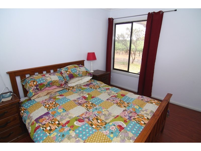 323 Costello Road, Loveday SA 5345