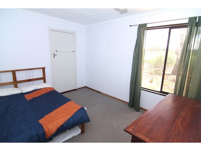 323 Costello Road, Loveday SA 5345