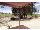 323 Costello Road, Loveday SA 5345
