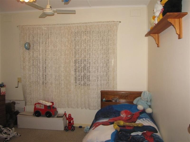 17 Anderson Street, Barmera SA 5345